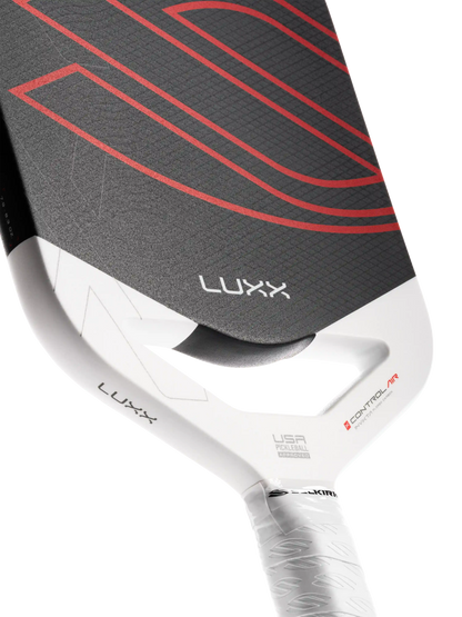 Selkirk LUXX Control Air with InfiniGrit®