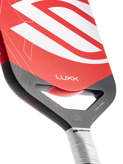 Selkirk LUXX Control Air with InfiniGrit®